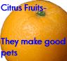 Citrus-fruits-make-good-pets.gif