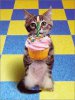 cat HB.jpg