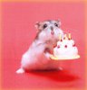 happybirthdaymouse.jpg