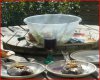 fish dinner.JPG