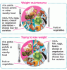 mainmealplates.gif