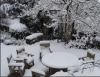 snow 4.PNG
