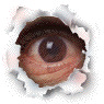 14837.gif