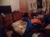 ImageUploadedByDCUK Forum1391281239.442349.jpg