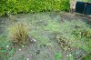 ImageUploadedByDCUK Forum1391535188.490994.jpg