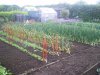 ImageUploadedByDCUK Forum1391541039.695874.jpg
