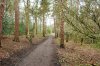 ImageUploadedByDCUK Forum1391714145.072231.jpg