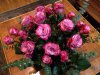 ImageUploadedByDCUK Forum1392398518.589872.jpg