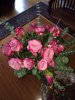 ImageUploadedByDCUK Forum1392880148.768055.jpg