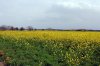 ImageUploadedByDCUK Forum1393878003.361593.jpg
