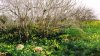 ImageUploadedByDCUK Forum1393909989.635327.jpg