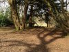 ImageUploadedByDCUK Forum1428697675.274090.jpg
