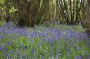 ImageUploadedByDCUK Forum1432551076.086571.jpg