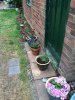 ImageUploadedByDCUK Forum1437153869.401599.jpg