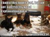 bad dogs.jpg