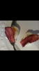 Screenshots_2015-08-04-12-16-41.png