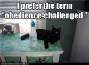 bad cat.jpg