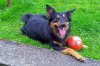 Bo smile ball_edited-1.jpg