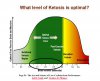 ketosis.jpg