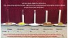 low carb infographic Starch is concentrated sugar.jpg