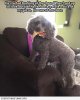 image.jpeg