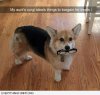 image.jpeg image.jpeg