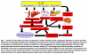 VLCD flow chart Baker et al.png