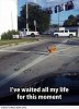 image.jpeg