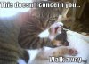 Funny-Animals-8.jpg