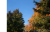 upload_2015-10-4_18-0-52.png