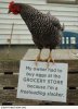 image.jpeg