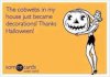 209202-Thanks-Halloween.jpg