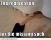 image.jpeg