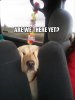 image.jpeg