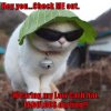 image.jpeg