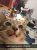 image.jpeg