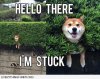 image.jpeg
