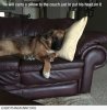image.jpeg