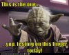 image.jpeg