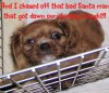 seen_off_santa.jpg