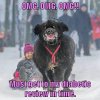 image.jpeg