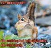 image.jpeg