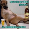 image.jpeg