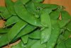 2016-02-04-23-26-57--1331139077.jpeg