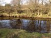 ImageUploadedByDCUK Forum1456673590.261424.jpg