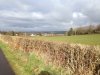 ImageUploadedByDCUK Forum1459159501.316254.jpg