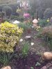 ImageUploadedByDCUK Forum1461343708.537793.jpg