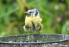 upload_2016-5-7_17-14-25.jpeg