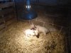 DSC00269.JPG