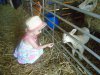 DSC00273.JPG